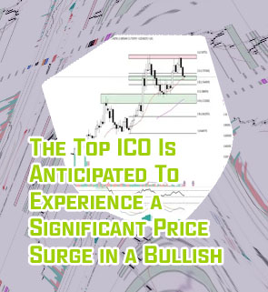 Rollbit latest dividend news